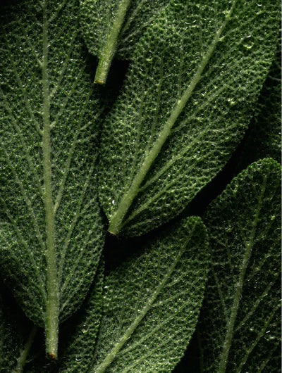 Масло для тела Omega 6-9 для сияющей кожи